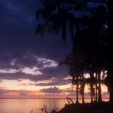 Indigo Sunset Shore, Lake Ponchartrain